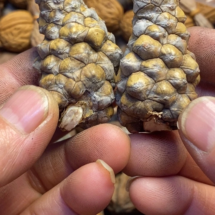 吊坠文玩核桃东北特产252