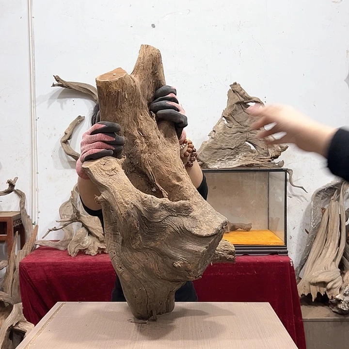 柏木㣎*冉我们都是好孩子