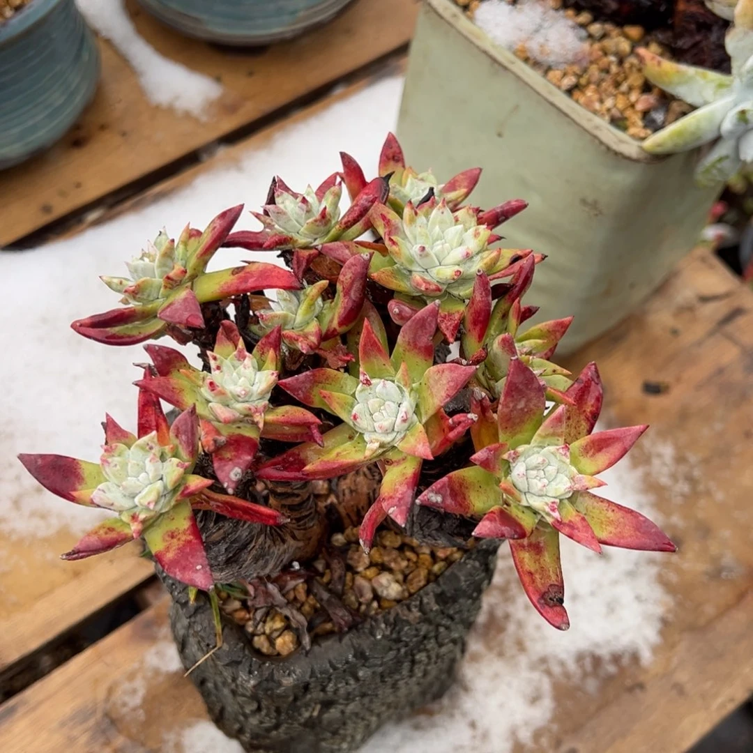 熊*2915哈哈哈哈哈哈哈哈