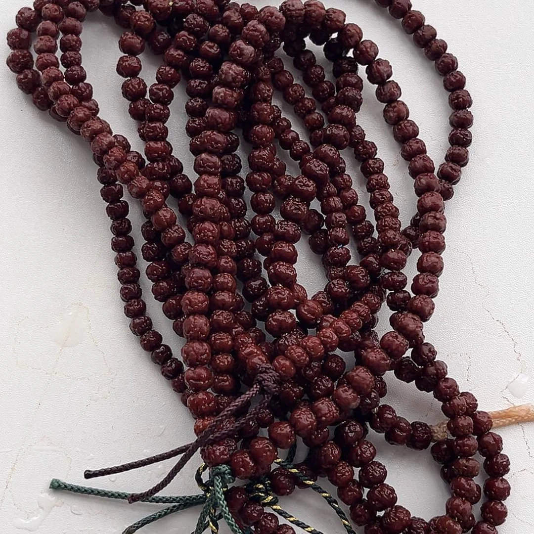 金刚菩提手串佛手哭哈哈哈哈哈哈哈哈哈哈哈