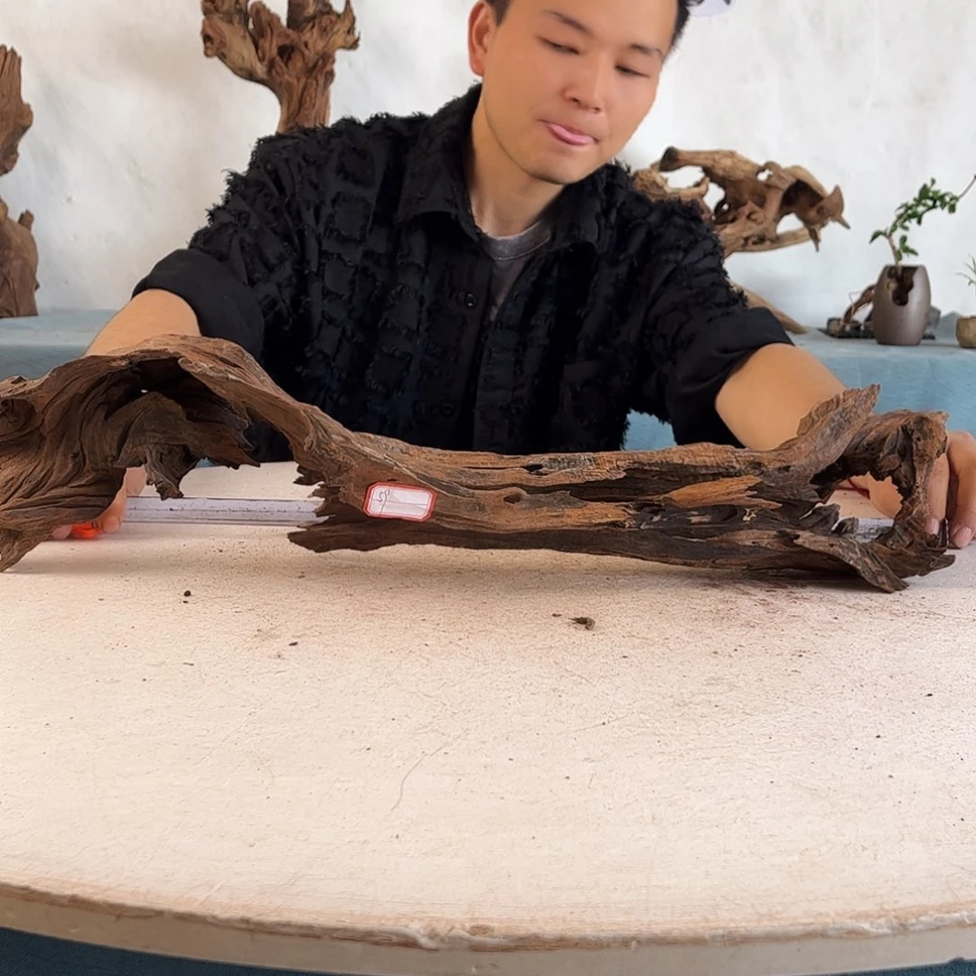 61.14.13 周末福利沉木造景