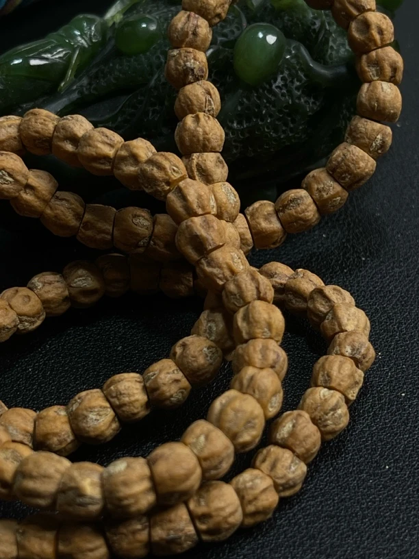 高油高密红芽柏香籽108大肠A163