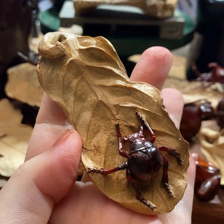 檀香紫檀（小叶紫檀）
