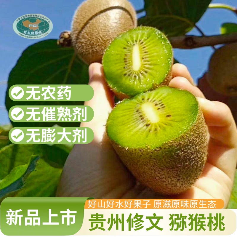 云贵高原全球特种 贵州修文猕猴桃 果园直发 8分甜果香浓郁多汁