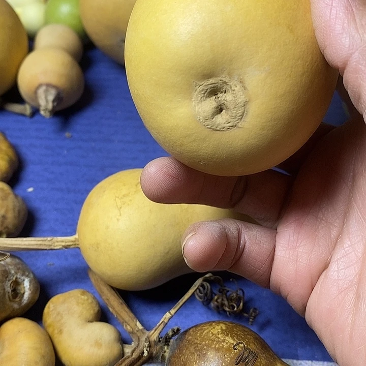 酒***子葫芦葫芦手把件摆件