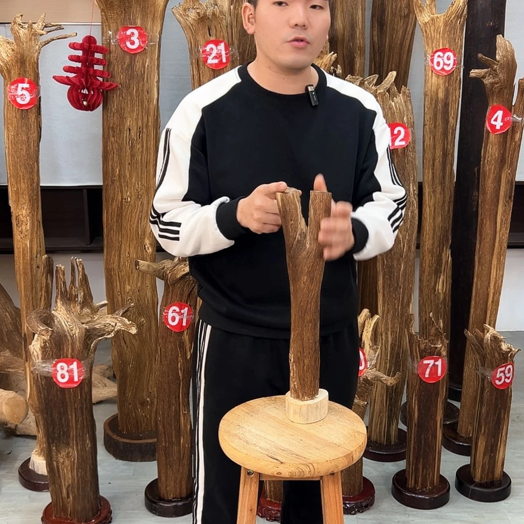 沉香摆件海南沉香摆件