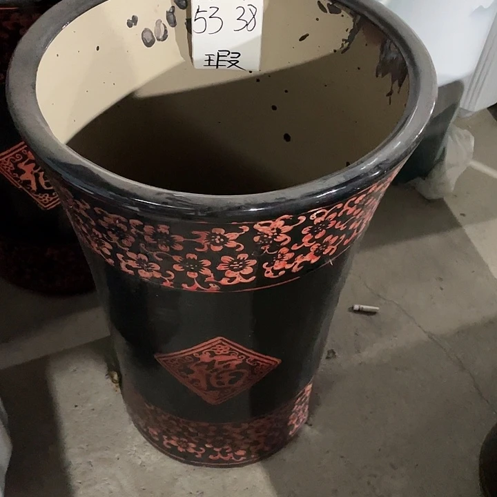 花盆花开了一个人的房间观看直播