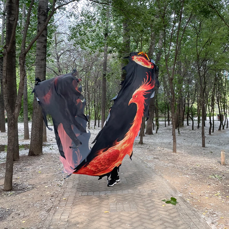 硕润 健身龙绸缎加厚一体边一体尾 不锈钢钢架龙头全套