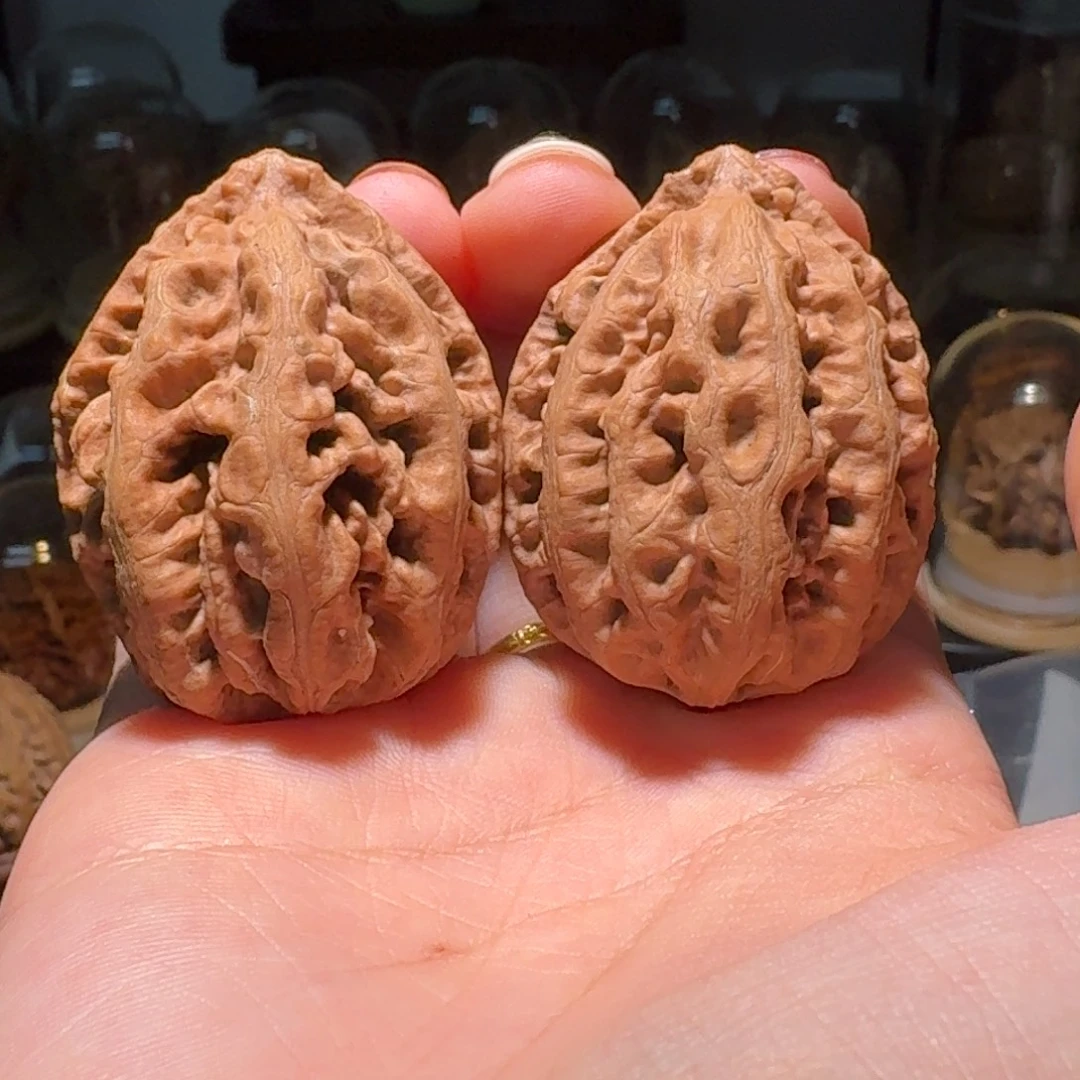 文玩核桃吊坠红珊瑚