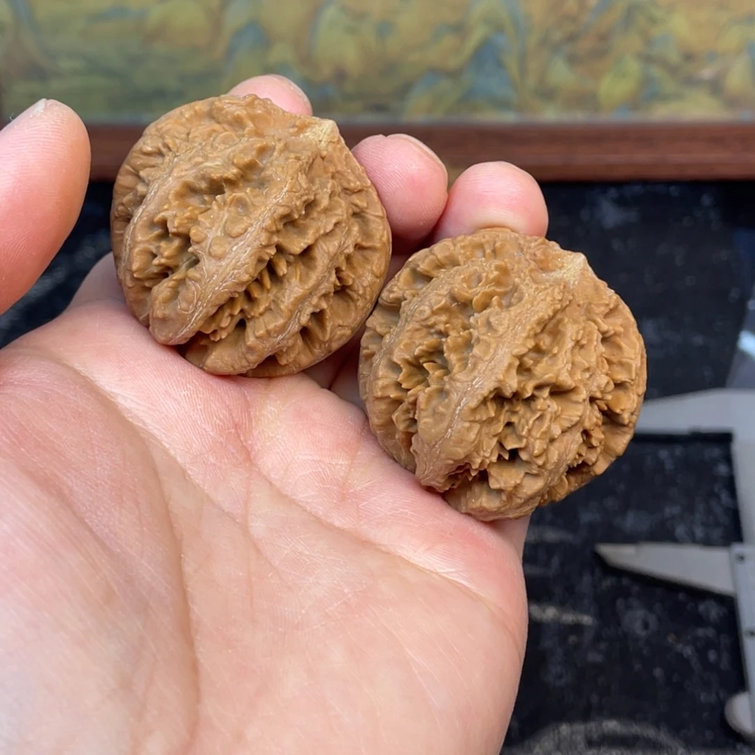 核桃5号链接55555