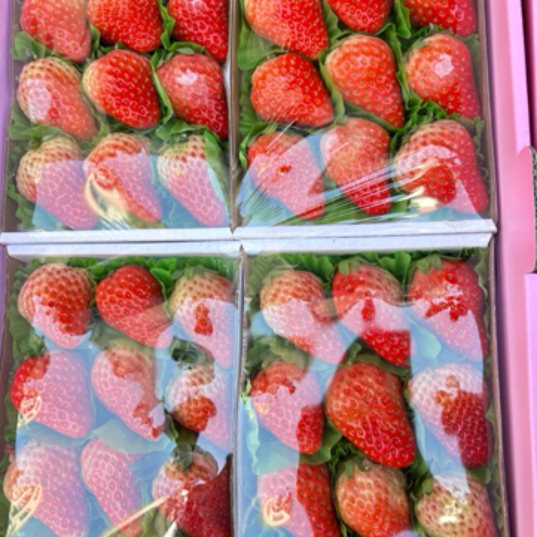 一整板4盒草莓
