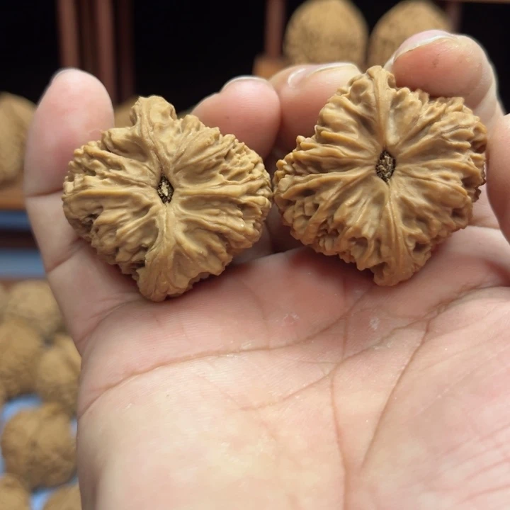 完全开放海****8南疆石