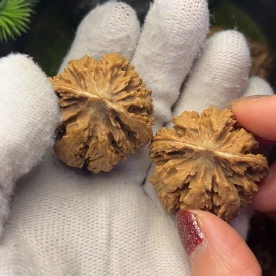 文玩核桃吊坠秦岭核桃17