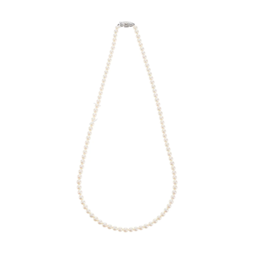 红布林/C1开箱/塔思琦/34513091/z/121497