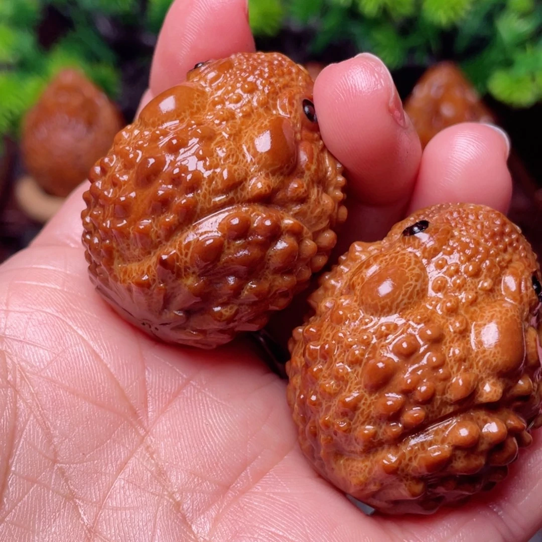 【闪购商品】橄榄核手串/手链35左右金蝉手球