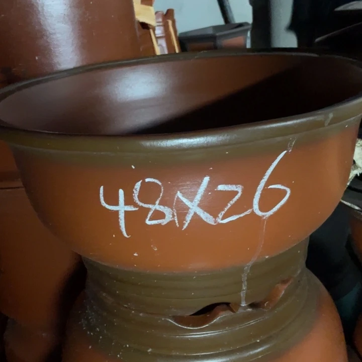 周深周深周深周深周深