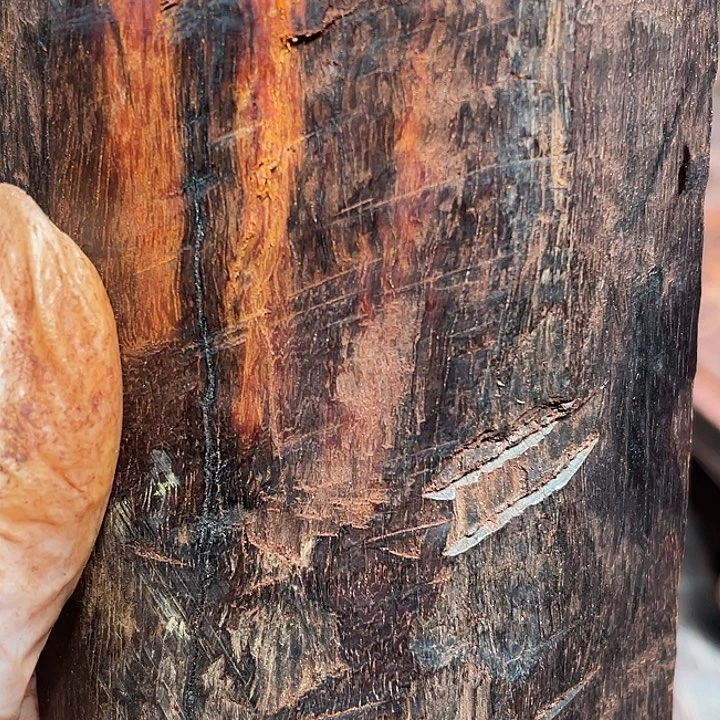 城***事木印度小叶紫檀木