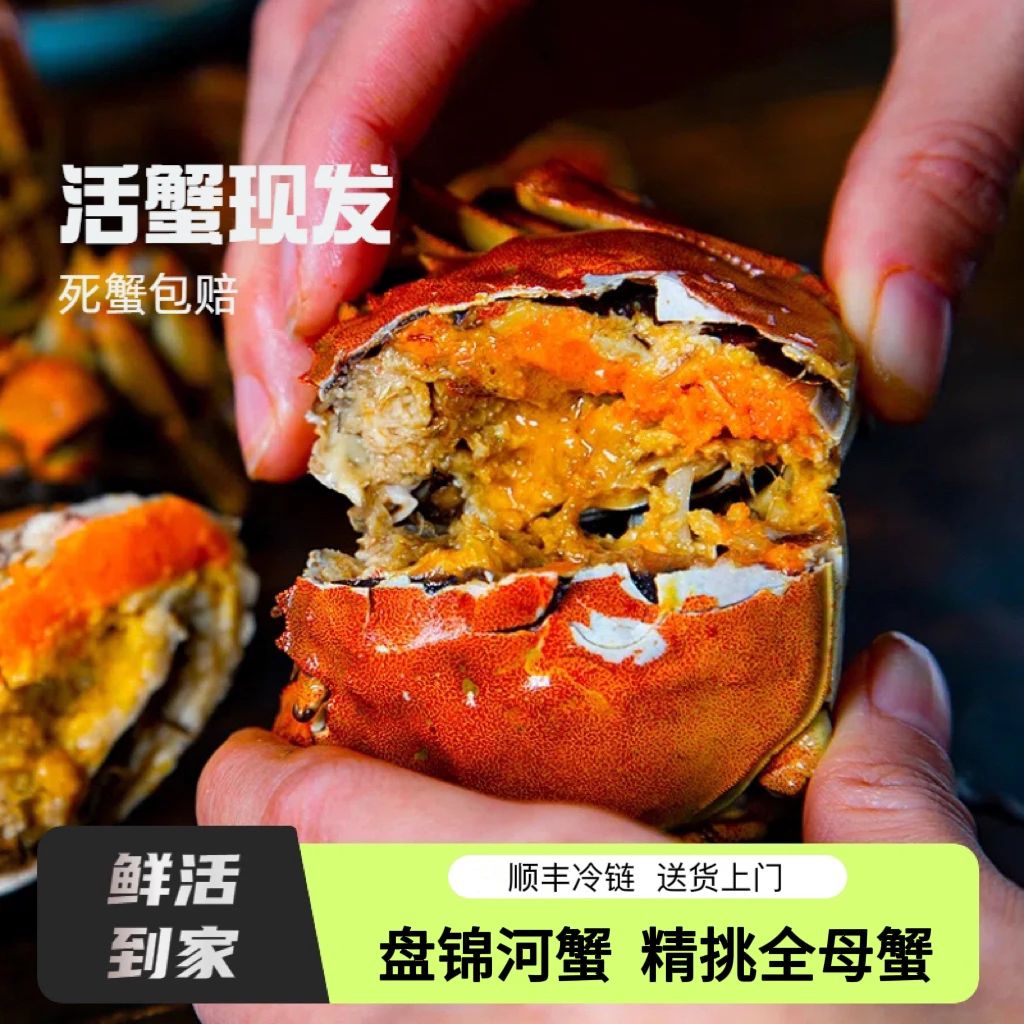 【活蟹】盘锦河蟹 盘锦稻田蟹 全母蟹 1.1-0.8两/只 20只+10只 30只 河蟹 多仓发货 顺丰空运次日达