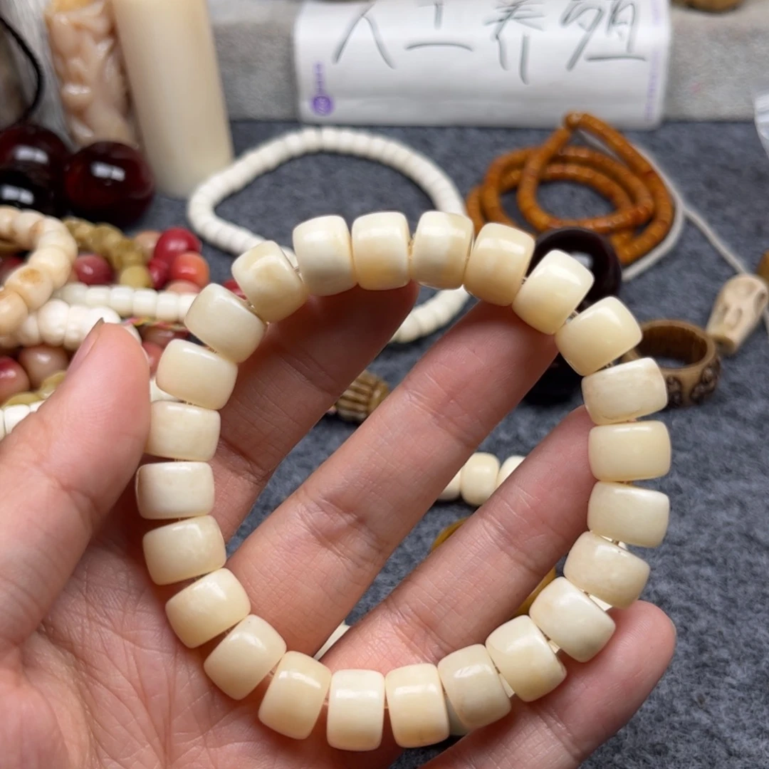 鹿骨其他人工养殖驼骨81微瑕