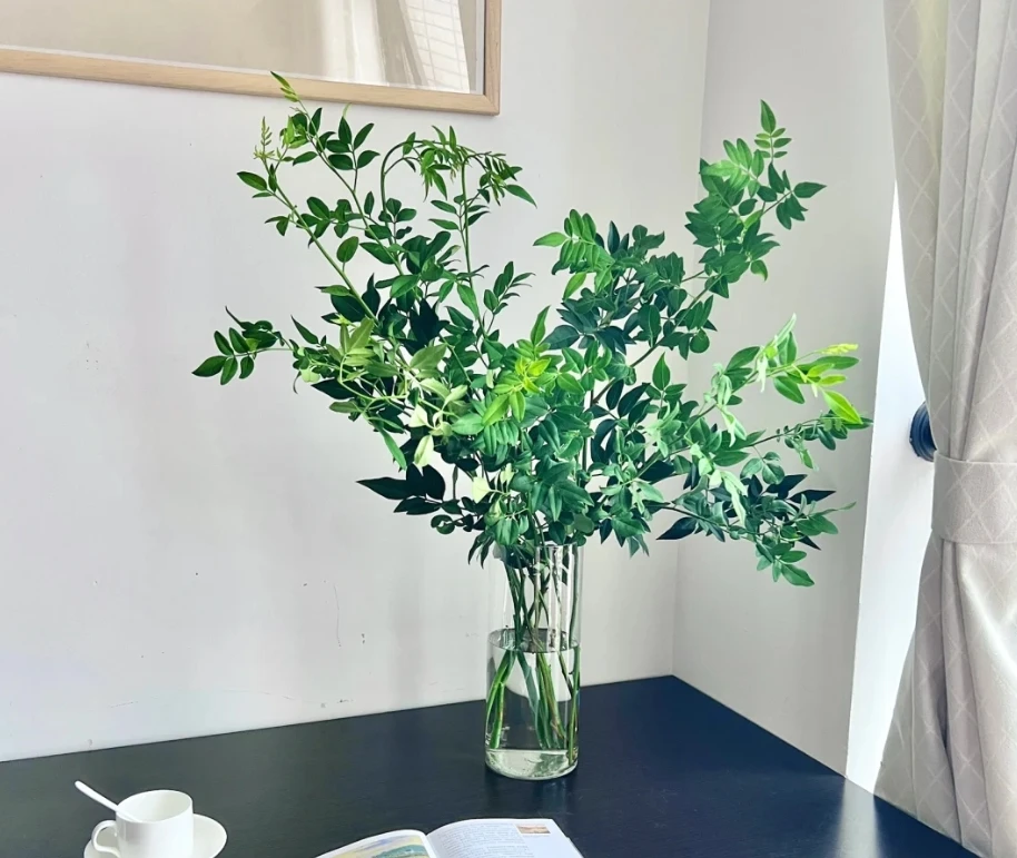 【全场任意两单包邮】九星叶1把