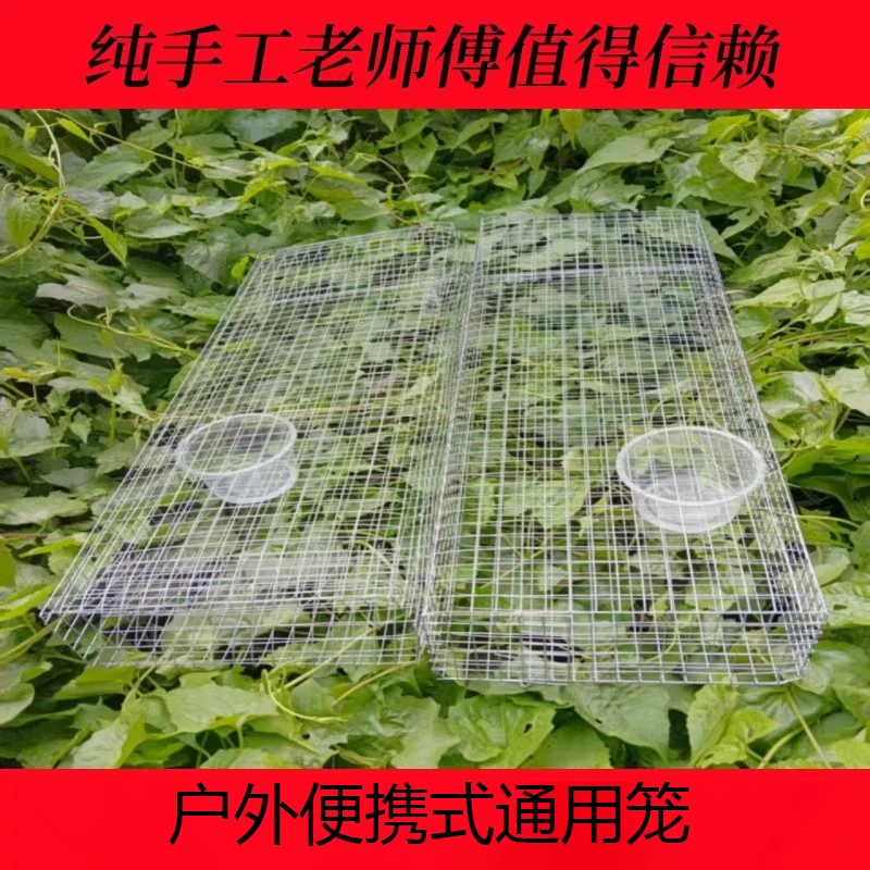 户外笼蛇笼长虫笼小鸡笼宠物笼大号单双进口捕笼铁丝笼子包邮防锈