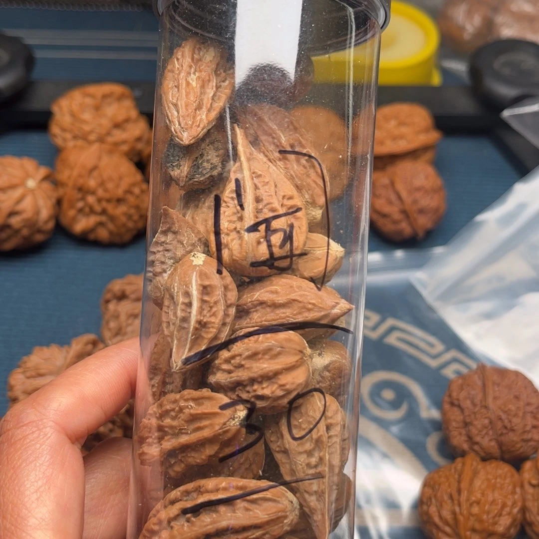 文玩核桃把件闻*傅