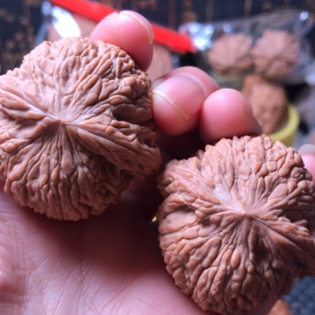 【闪购商品】摆件核桃泥鳅背尺寸43