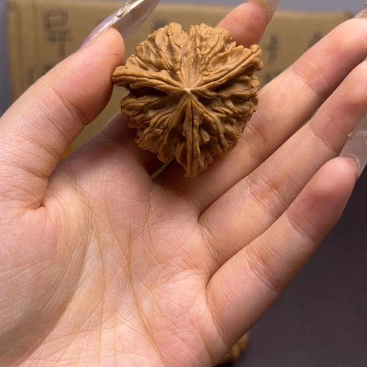 一***叁菩提籽类三棱单只异型有瑕