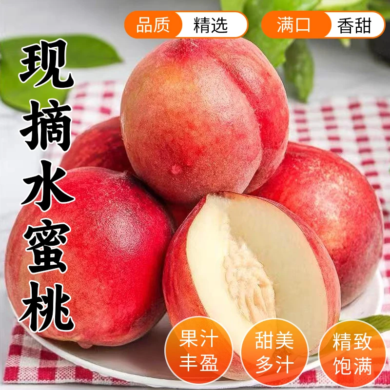 现摘黄金蜜桃新鲜应季水果脆甜多汁孕妇也能吃