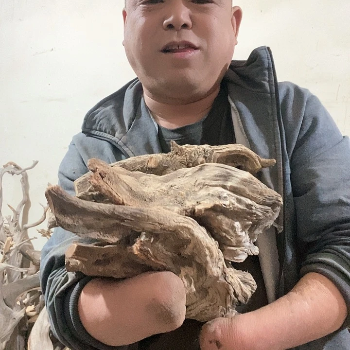 北太行山崖柏陈化料