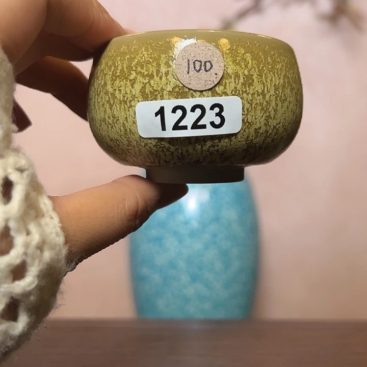 B***T缸12230000000000000