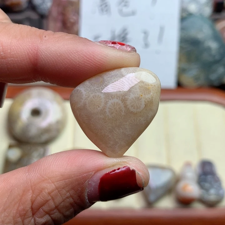 硅化珊瑚（珊瑚玉）颈饰未镶嵌