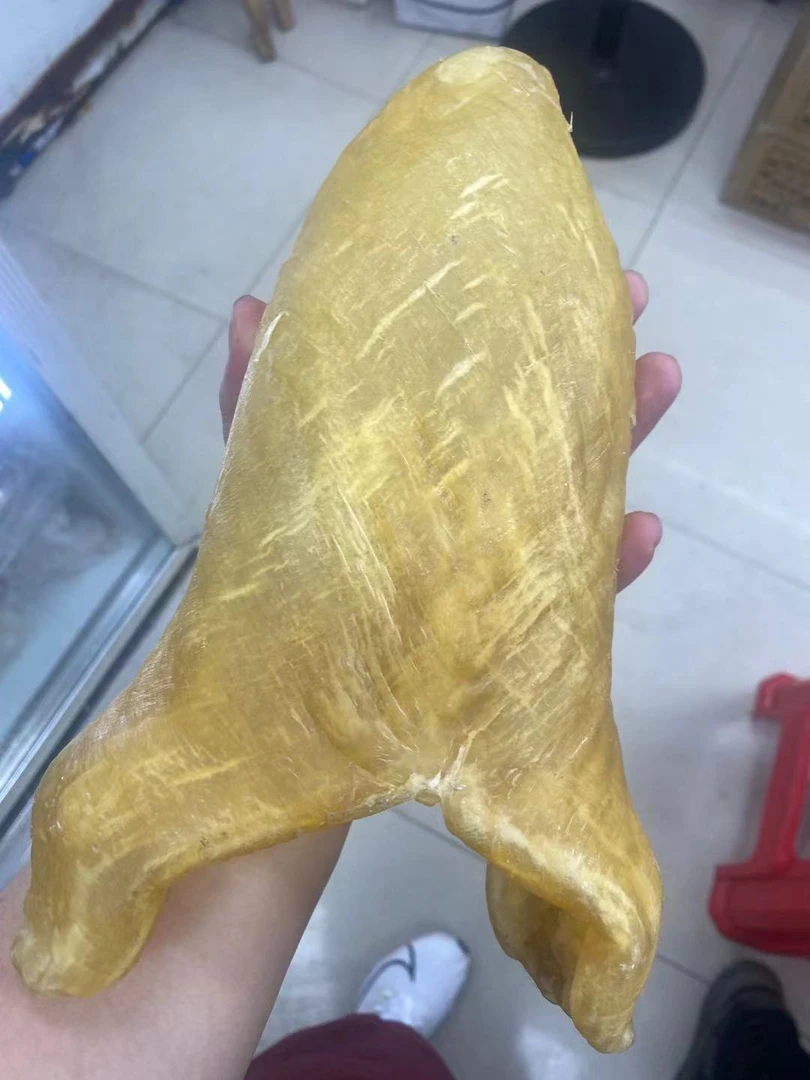 特大黄花胶陈年老鱼胶野生鱼鳔黄花筒开片北海淡干货孕妇月子滋补
