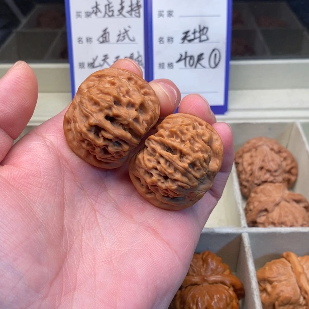 核桃天地（40尺寸）