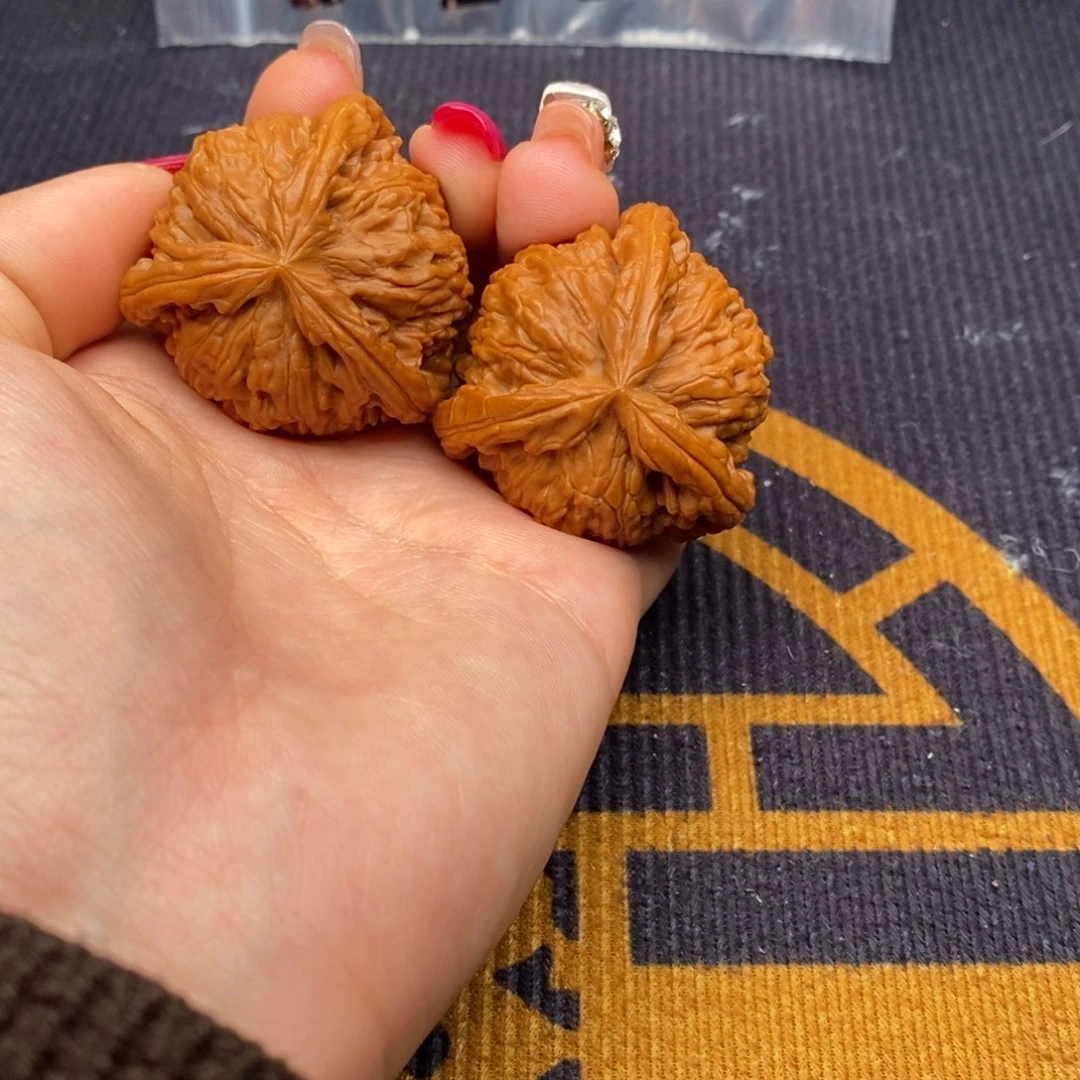 私***柜文玩核桃把件白狮子