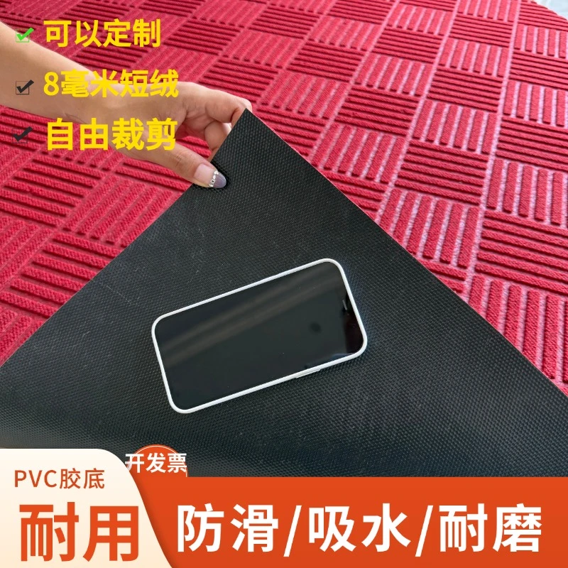 加厚地毯入户地垫进门垫防滑脚垫门外耐脏免洗玄关可裁剪门口地毯