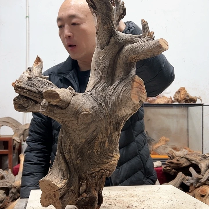 柏木不****头我们的生活也会越来越