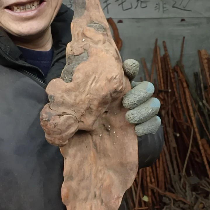 稳定木哈*贵州檬子木   铁马鞭   根艺  半成品