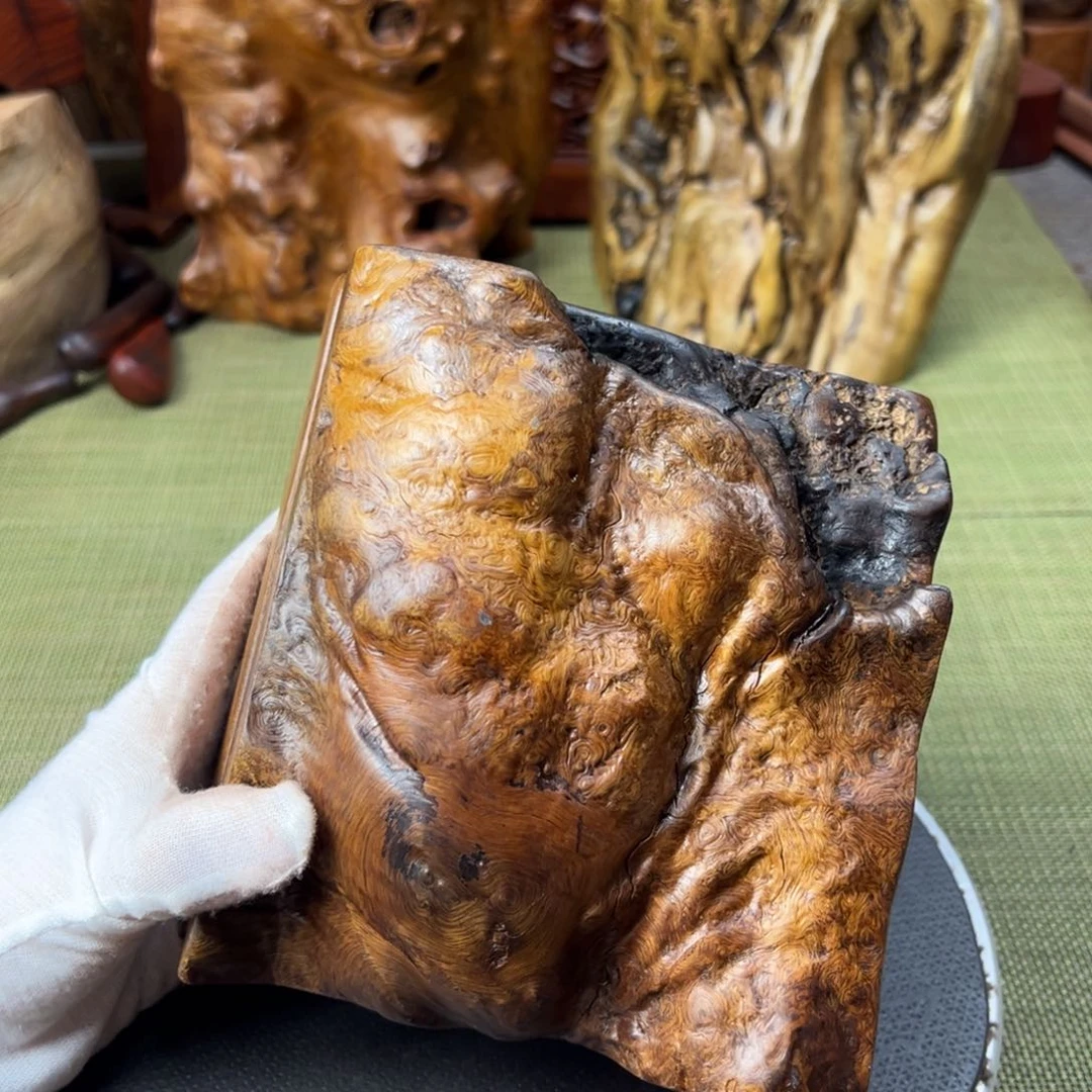 大果紫檀（缅甸花梨）炽*