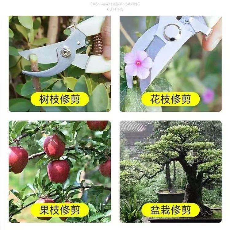 修枝剪全套园艺剪园林弯头花园剪刀摘果剪弹簧手动工具