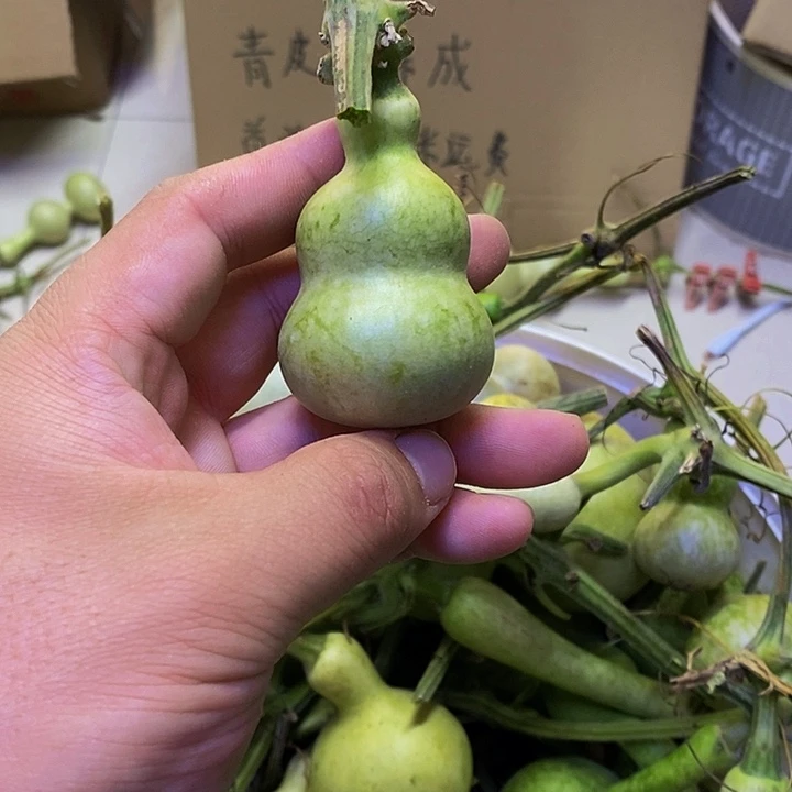 用****1长嘴哈哈哈哈哈哈哈哈哈哈哈哈哈哈哈好