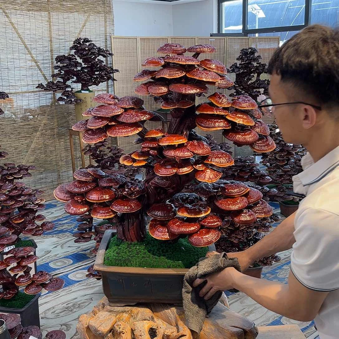 888888888888888888888