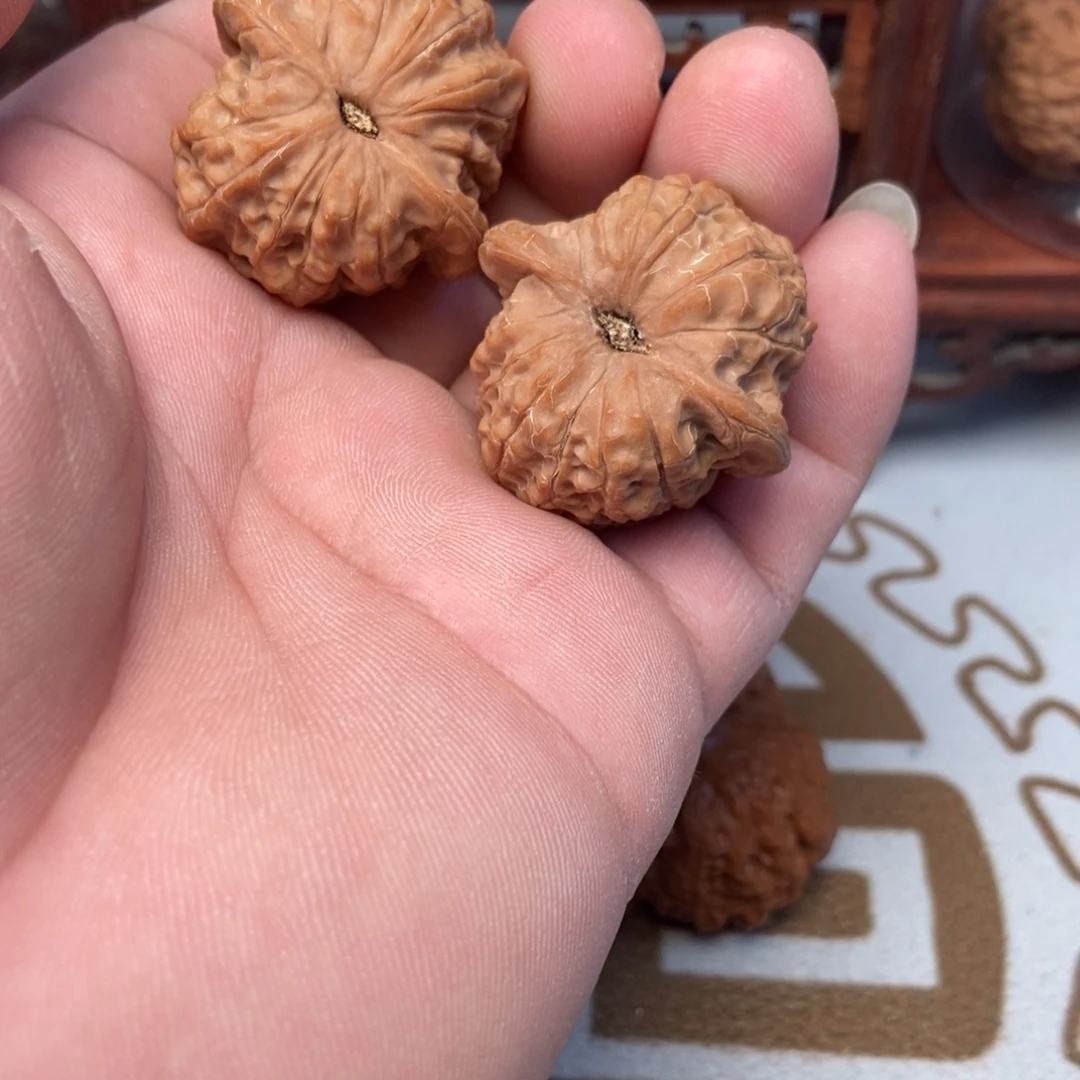 少***玩大叶紫檀（黑酸枝木类）血麒麟