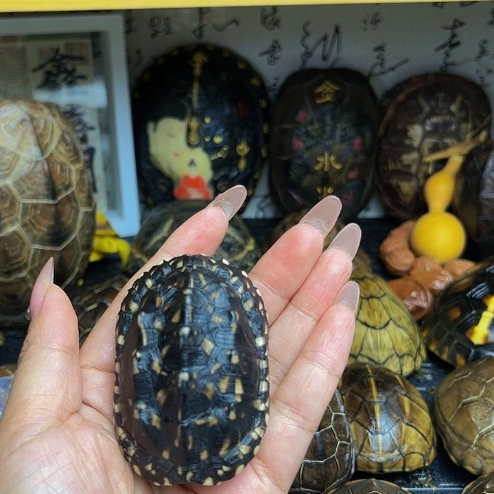 【闪购商品】有机玻璃回**生