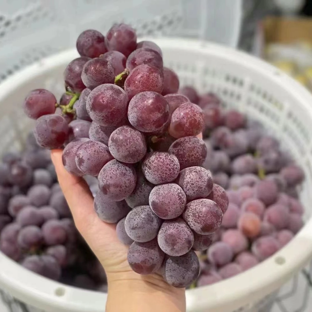 蓝莓葡萄2斤