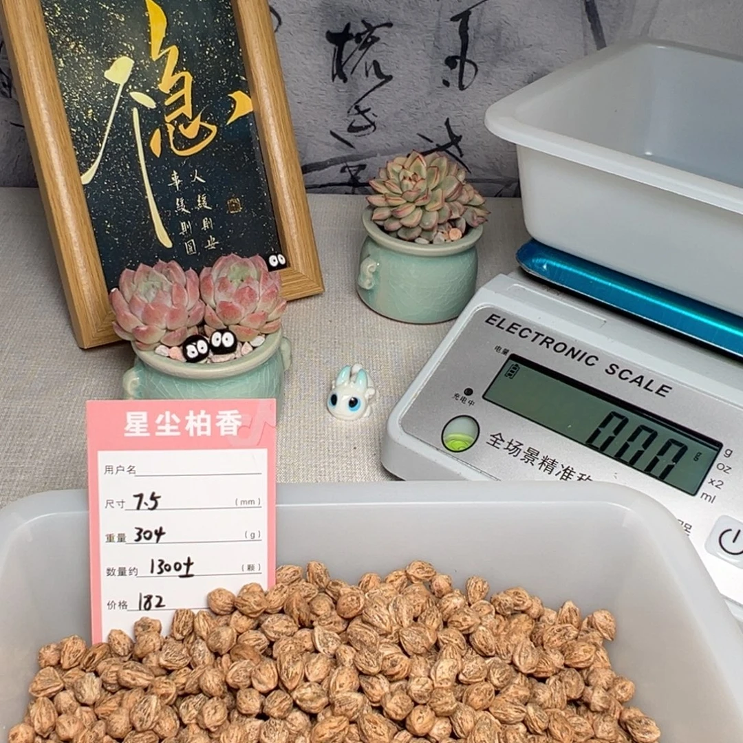六***秋吊坠柏香籽/百香籽