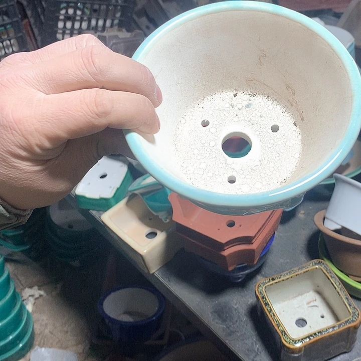 紫砂淘宝的时候看到你了