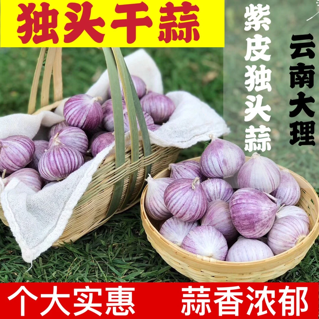 云南大理独头蒜紫皮独蒜大蒜头批发干蒜1/2/3/5斤新蒜红皮干大蒜