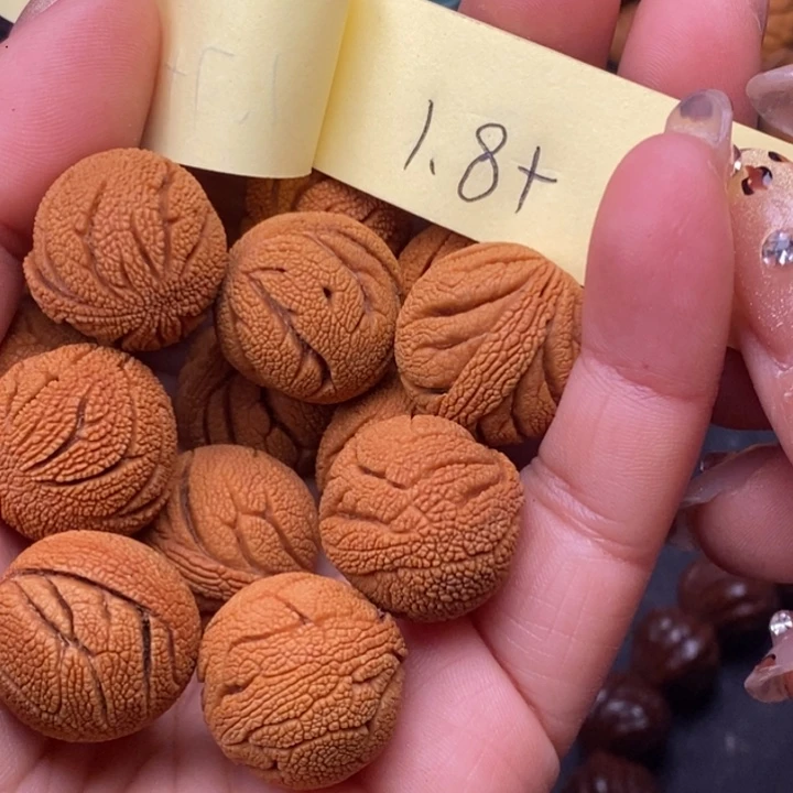 秦岭龙纹桃核14颗