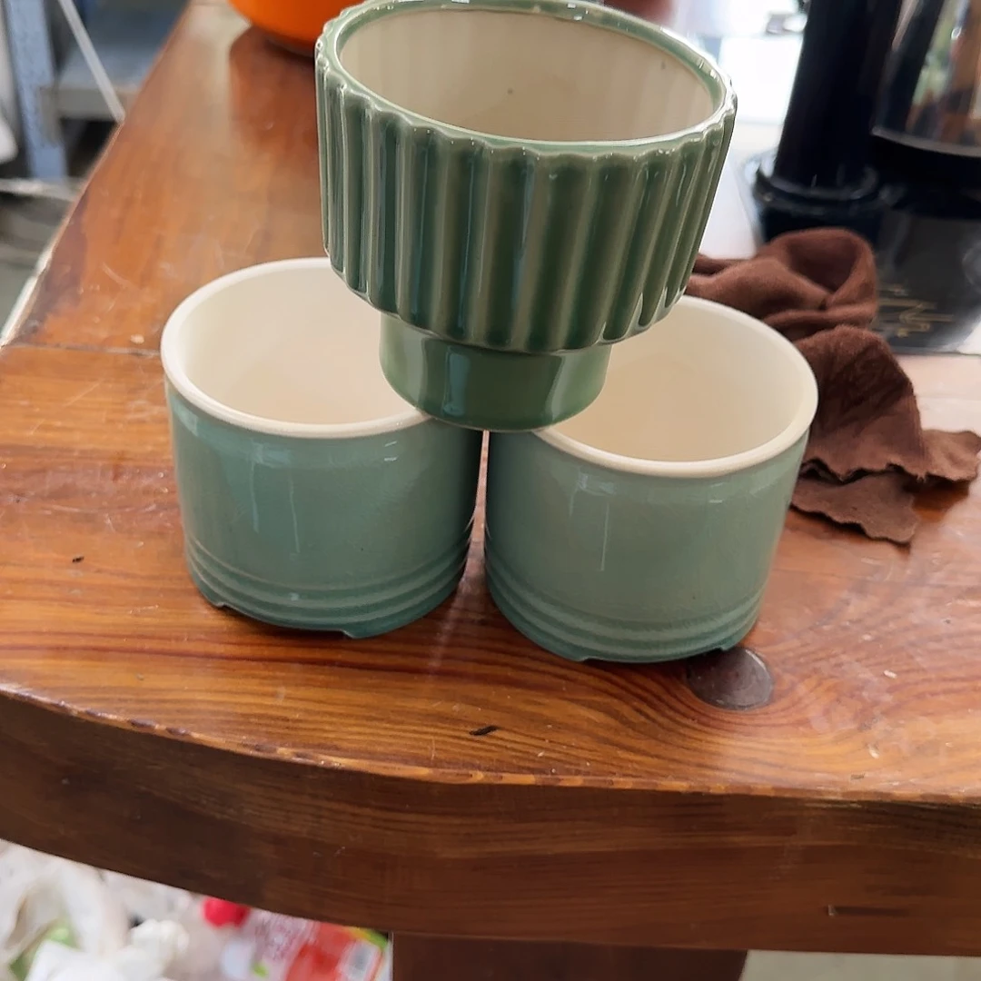 3个福利局绿植多肉盆［凑9元包邮24小时发］